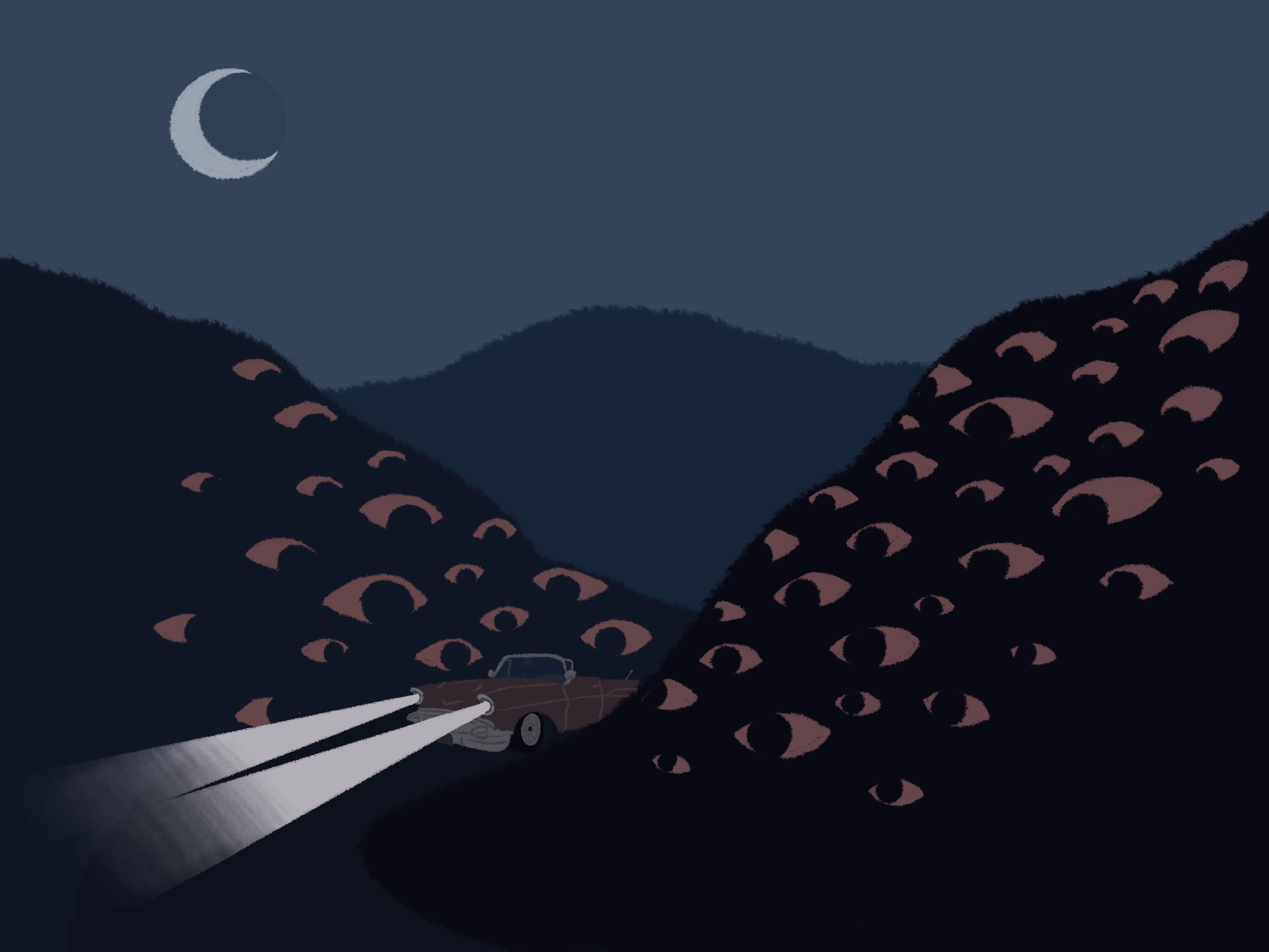 handdrawn illustration