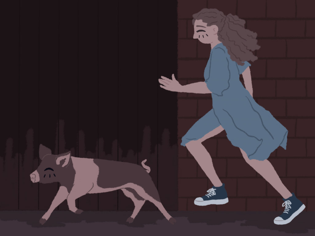 handdrawn illustration